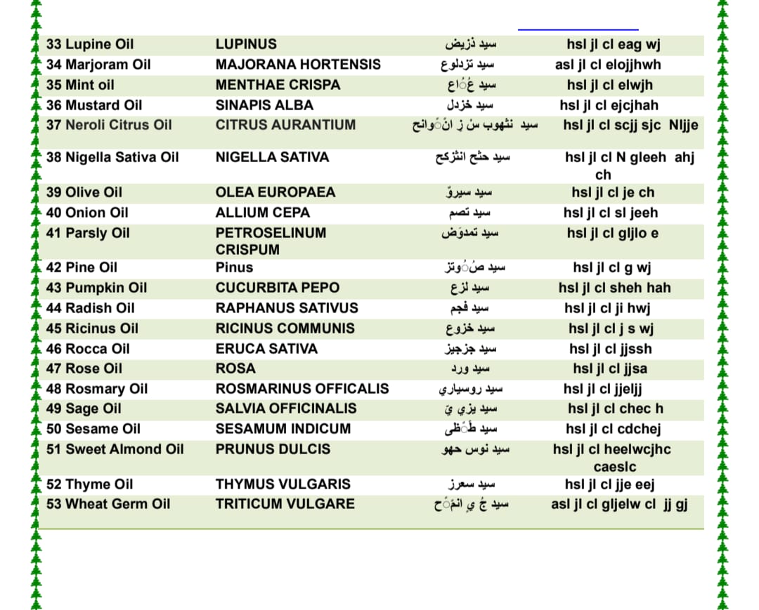 Egypt Product 1