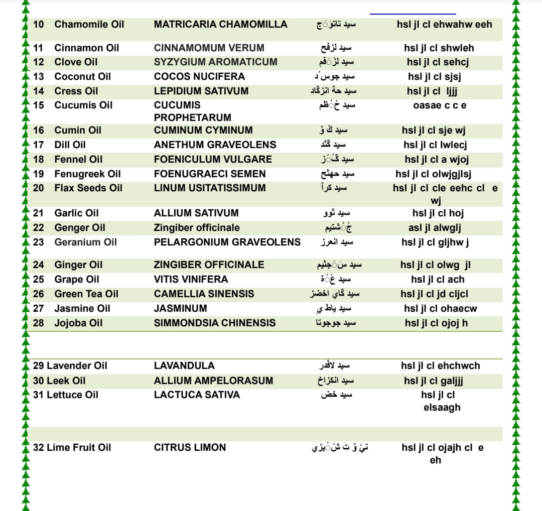 Egypt Product 2
