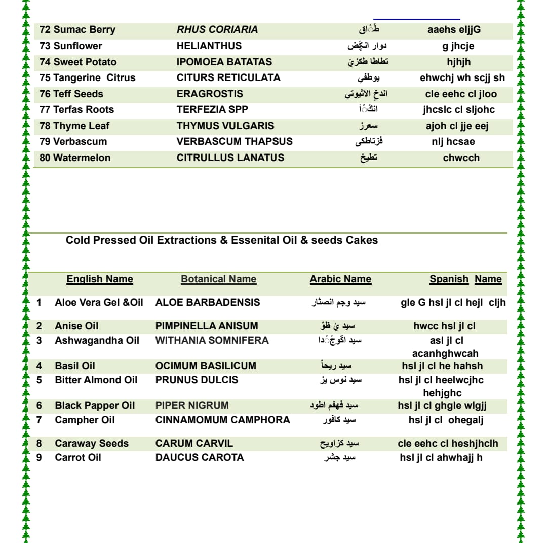 Egypt Product 3